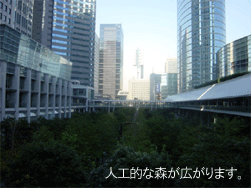 �i��̐X